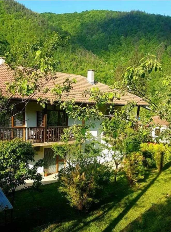 Вила Керенски Ribarica Exterior photo