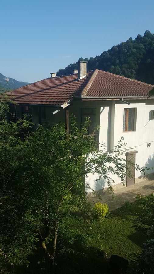 Вила Керенски Ribarica Exterior photo